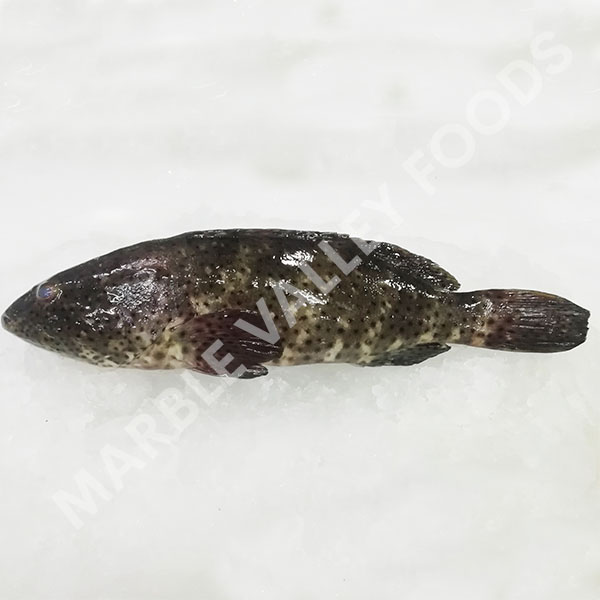 black_spot